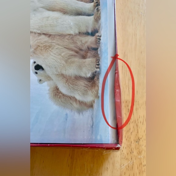 ⭐️BOGO//14-pack Polar Bear Christmas Cards - Picture 8 of 9